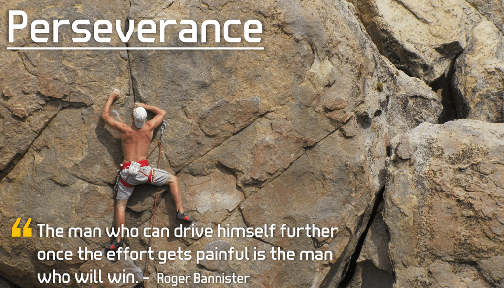 Perseverance Image